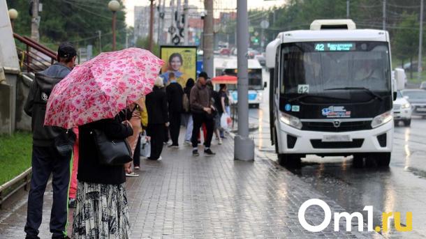 В Омскую область пришли затяжные дожди