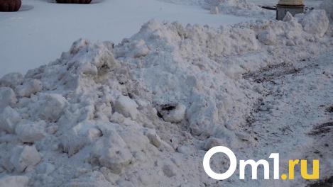 Омичам рассказали, какие сегодня улицы очистят от снега