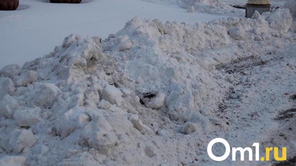 Омичам рассказали, какие сегодня улицы очистят от снега