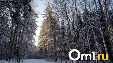 Экстремальные экскурсии становятся всё более популярными в Новосибирской области