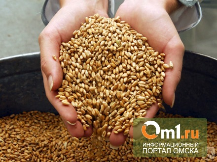 Омская область активно участвует в зерновых интервенциях