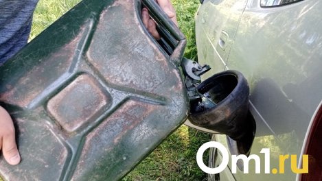 В минсельхозе заявили о росте цен на топливо в Новосибирске