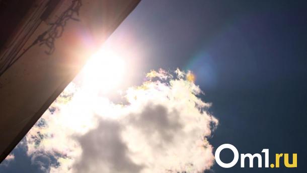 Омскую область сегодня накроет жара до +32 градусов