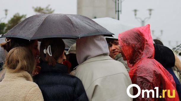 Снег, дождь и сильный ветер: синоптики рассказали о погоде в Новосибирске
