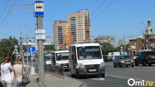 Для омичей организуют дополнительные рейсы из Светлого