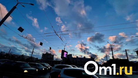 В Омске на фоне жары объявили режим НМУ