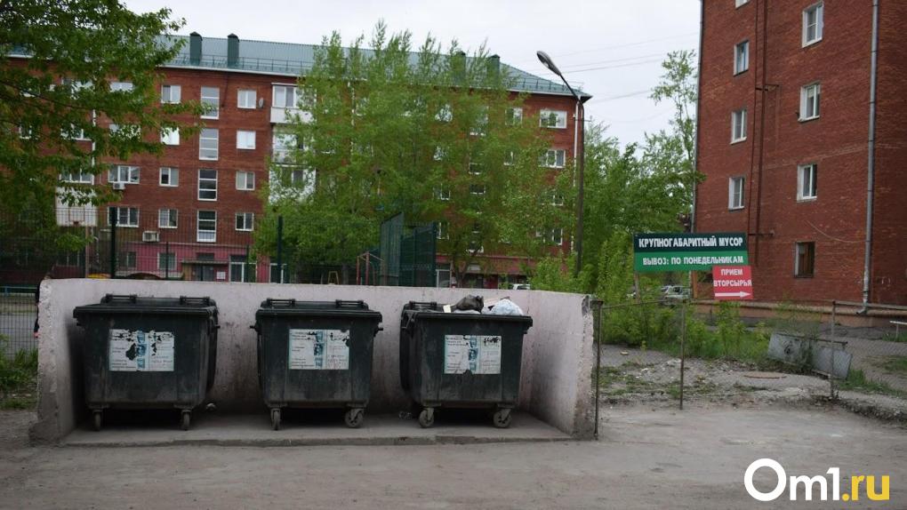 Региональный оператор объяснил ситуацию с вывозом крупногабаритного мусора