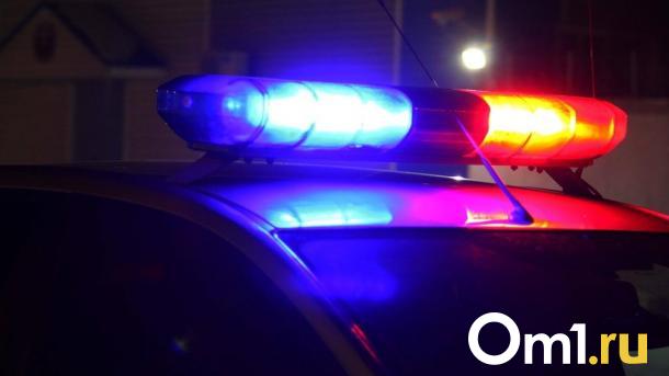 Омич избил нового друга-собутыльника, забрал у него деньги и сбежал