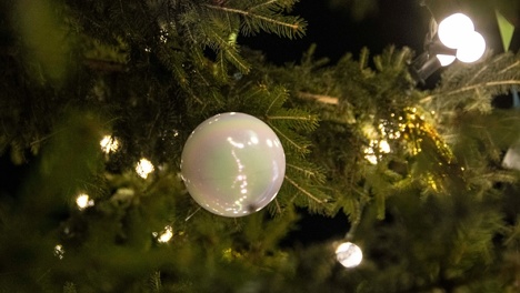 Стало известно, где в Омске появятся ледовые новогодние композиции