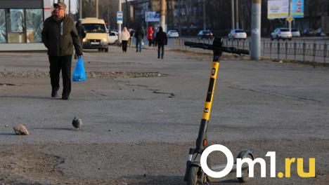 Прокат электросамокатов в Омске откроется в апреле