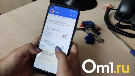 Соседские чаты новосибирцев переехали в Госуслуги и «ВКонтакте»