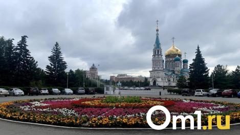 В сквере на Соборной площади вырубят 11 деревьев