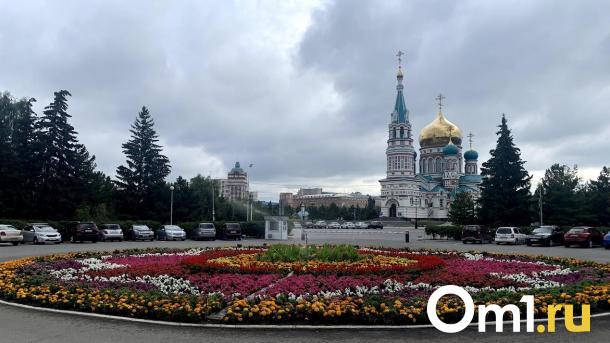 В сквере на Соборной площади вырубят 11 деревьев