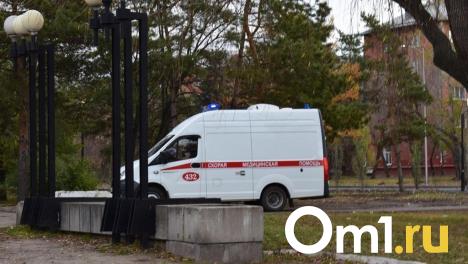 Пьяная омичка жестоко избила своего знакомого за оскорбления в адрес её матери