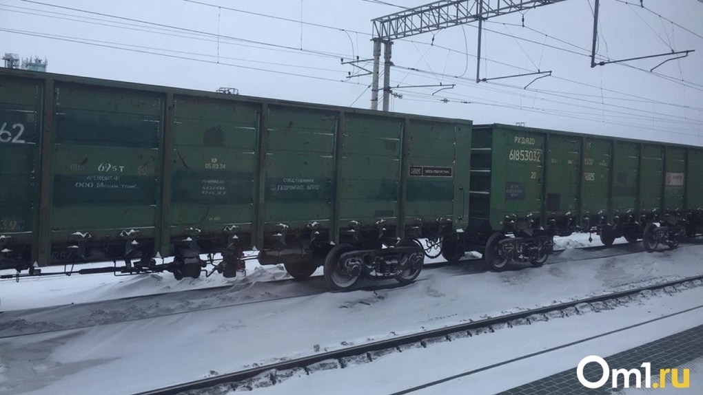 В Омской области грузовой поезд насмерть сбил пенсионерку