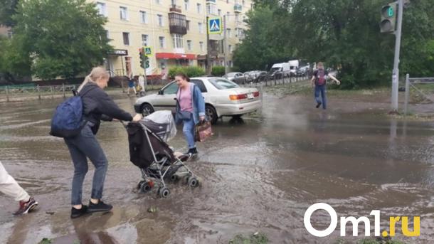 Рекорды мая в Новосибирске: от небывалой жары до заморозков