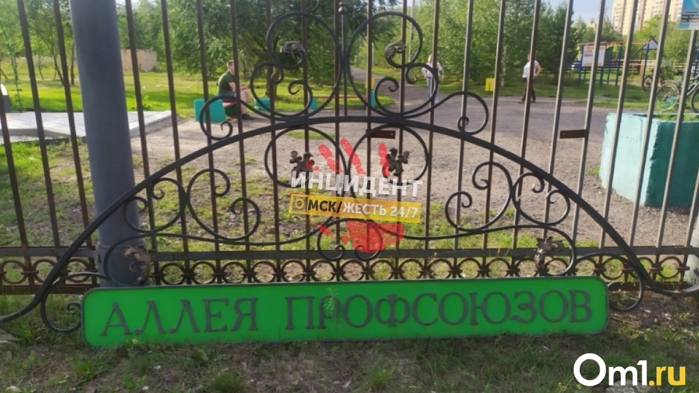 Металлическая вывеска парке 300-летия Омска упала на подростка и разбила ему голову