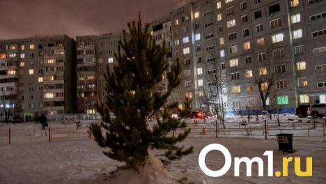 Вандалы разбили окно кофейни ёлкой в Бердске Новосибирской области