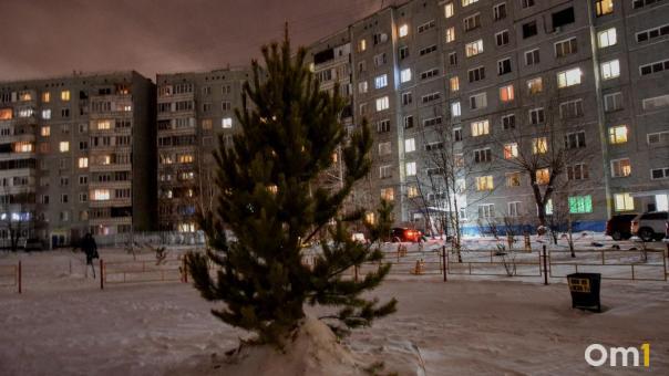 Вандалы разбили окно кофейни ёлкой в Бердске Новосибирской области