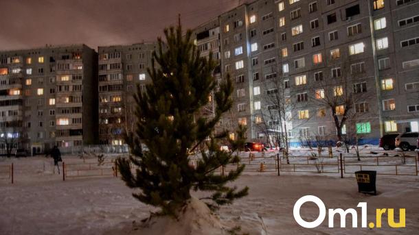 Вандалы разбили окно кофейни ёлкой в Бердске Новосибирской области