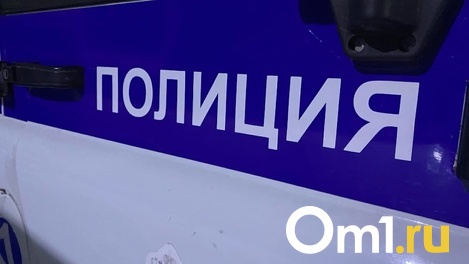 Нашли мёртвым в гараже: власти проверят факт самоубийства четвероклассника в Новосибирской области