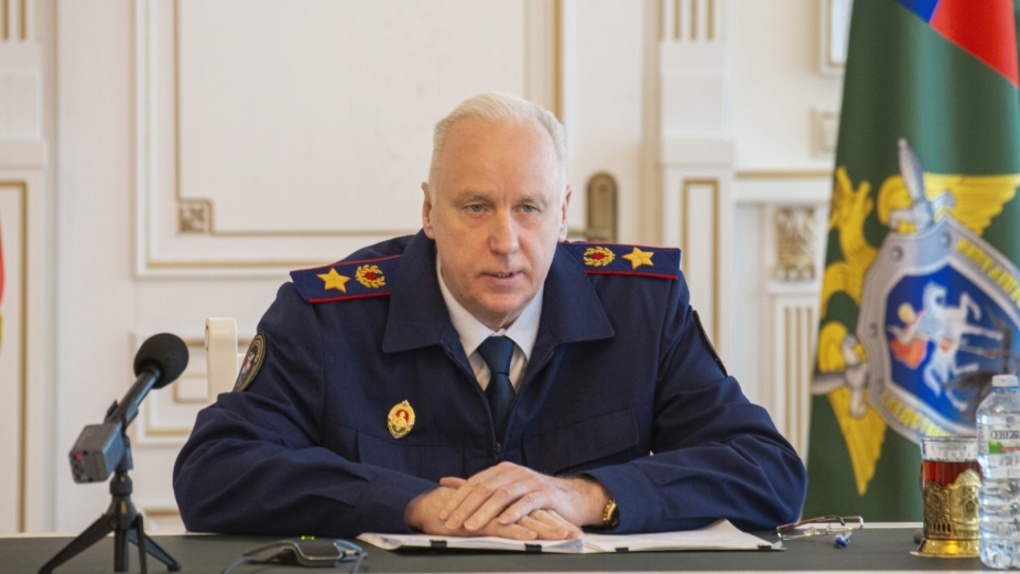Глава СК РФ Бастрыкин поручил возбудить уголовное дело после нападения маламута на ребёнка в Кольцово