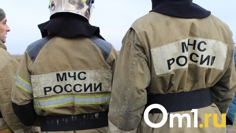 Вторую ночь подряд в Омске горят автомобили