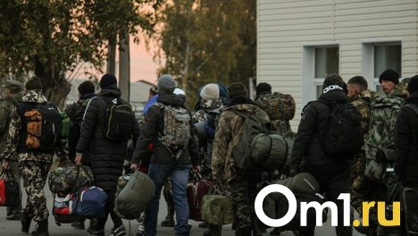 Путёвки в санаторий и бесплатный проезд: что получат семьи омских мобилизованных