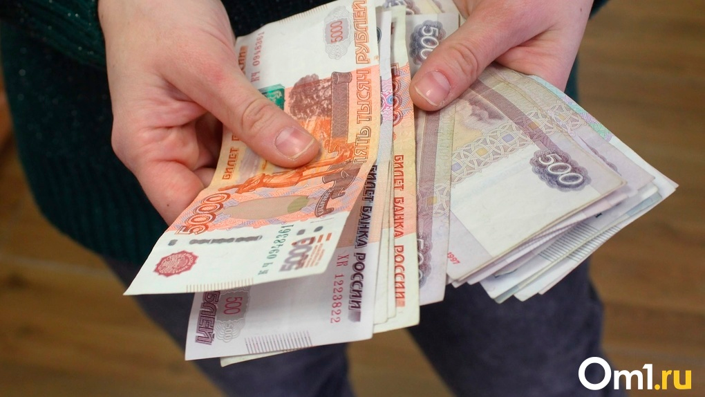 За 6 месяцев в Новосибирской области выявили 15 финансовых нелегалов