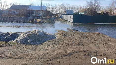 В МЧС назвали пострадавшие районы Омской области от паводка