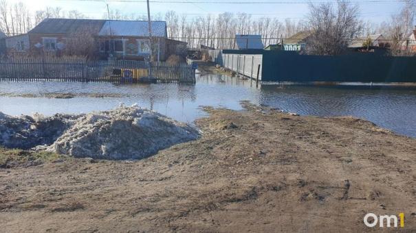 В МЧС назвали пострадавшие районы Омской области от паводка