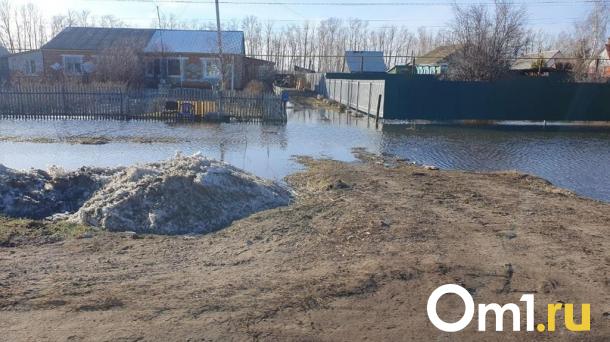 В МЧС назвали пострадавшие районы Омской области от паводка