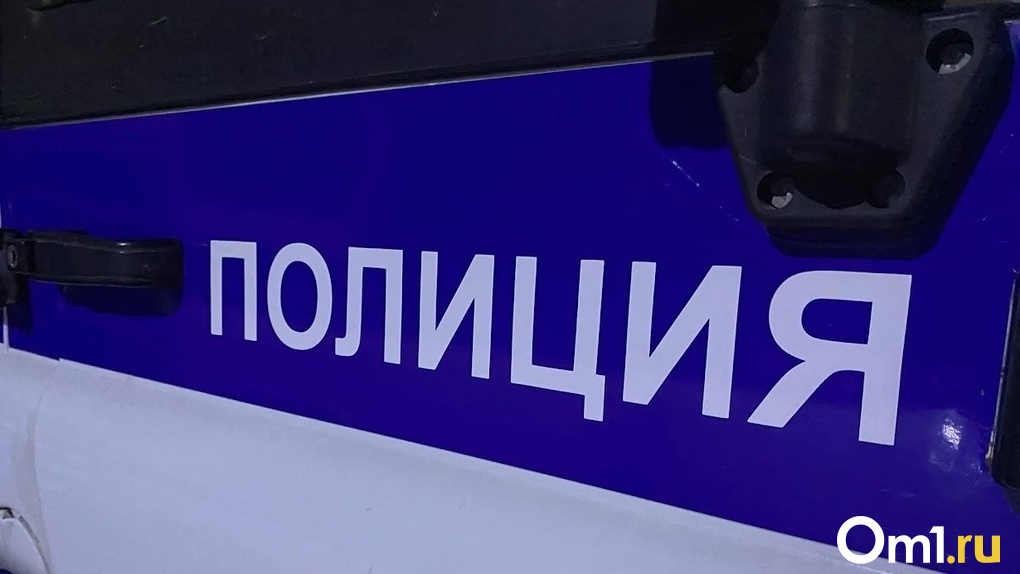 «Застрял в сугробе»: новосибирские полицейские задержали угонщика припаркованного у бани автомобиля