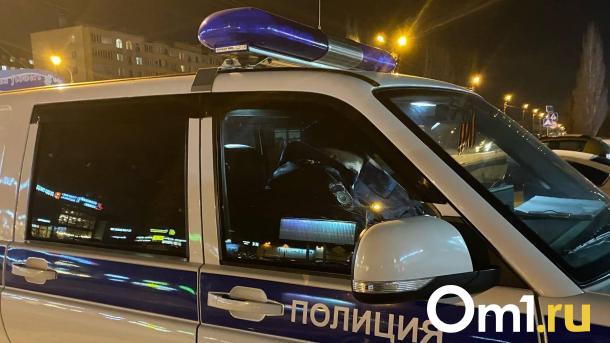 На омских дорогах за один день сбили двух детей