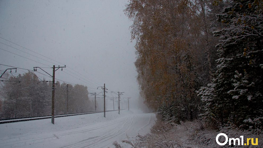 Тёплые дни и редкие морозы: опубликовали прогноз погоды на зиму в Новосибирске