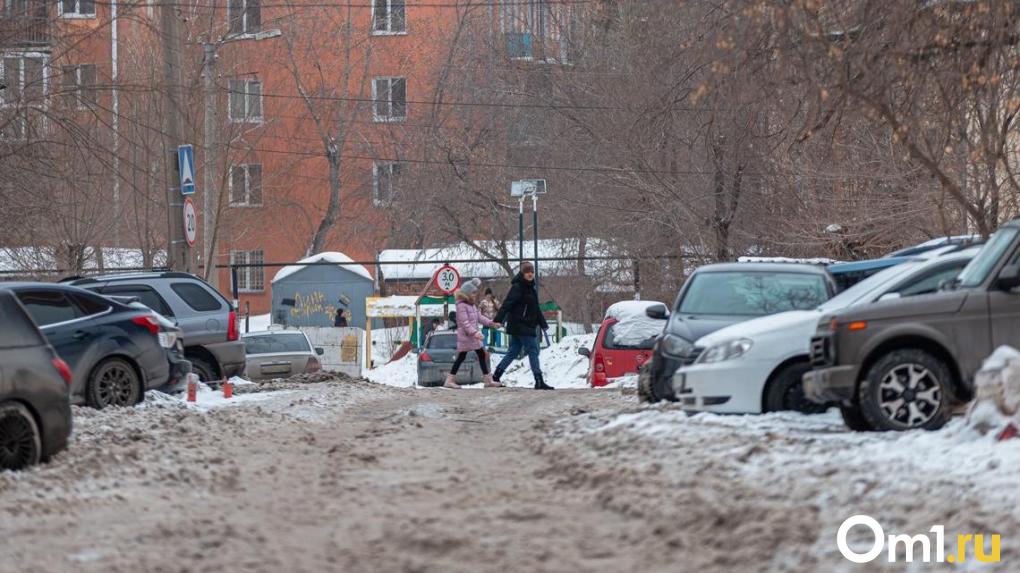В Омске рядом со школой нашли разорванное тело косули
