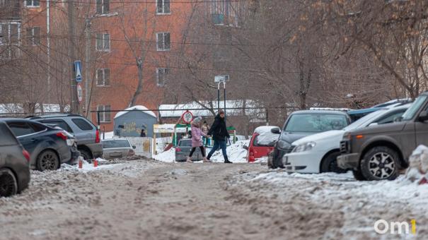 В Омске рядом со школой нашли разорванное тело косули