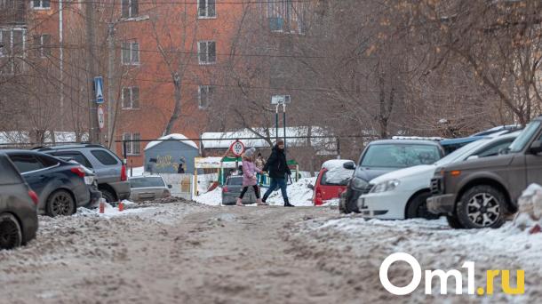 В Омске рядом со школой нашли разорванное тело косули