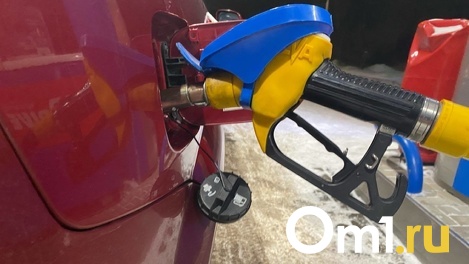 В восемь раз увеличить штрафы за незаконную продажу бензина планируют в Новосибирске