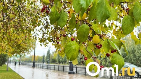Осень близко: в Омской области похолодает до +14