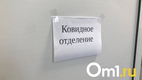 Названо число привитых среди госпитализированных в ковидарии новосибирцев