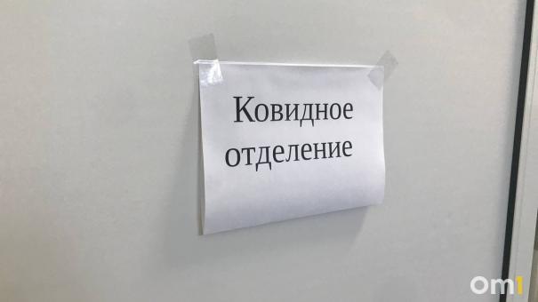 Названо число привитых среди госпитализированных в ковидарии новосибирцев