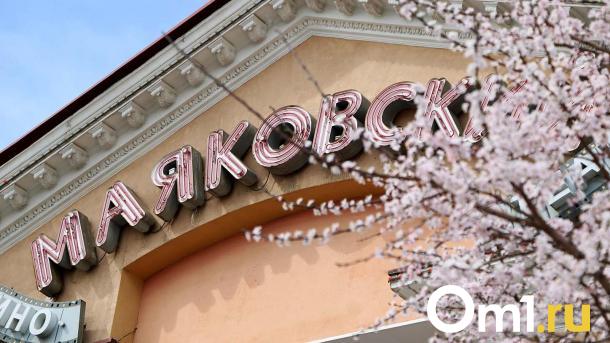 Омская сакура: редкое цветение сибирского абрикоса у кинотеатра «Маяковский»