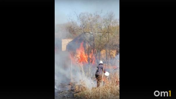 Тушат вёдрами с водой. В Омске горит сразу несколько дач