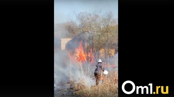 Тушат вёдрами с водой. В Омске горит сразу несколько дач