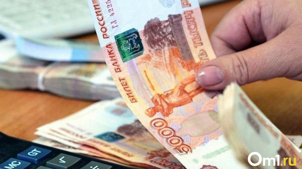 Свыше 100 тысяч рублей в месяц: названы самые высокооплачиваемые отрасли в Новосибирске