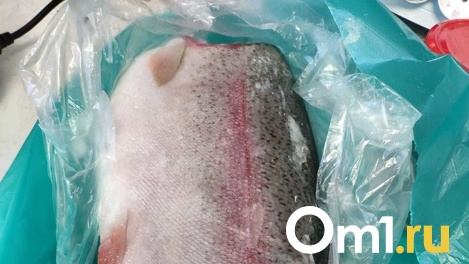 Из Омска в Казахстан пытались незаконно вывезти 1,5 тонны рыбы и морепродуктов