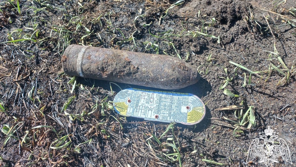 Боевой снаряд времён Первой мировой войны нашли в деревне Евсино Новосибирской области