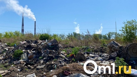 «Превращаем наш город-сад в город-свалку»: железнодорожники рассказали о завалах мусора в Омской области