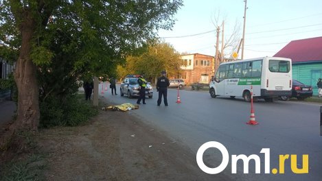 В Амурском посёлке Омска насмерть сбили мужчину на пешеходном переходе. ВИДЕО